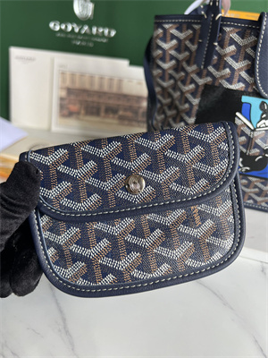 Goyard Anjou Mini Bag Chevroches Calfskin & Goyardine Canvas