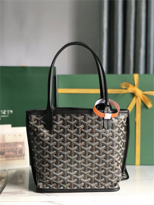 Goyard Anjou Mini Bag Chevroches Calfskin & Goyardine Canvas
