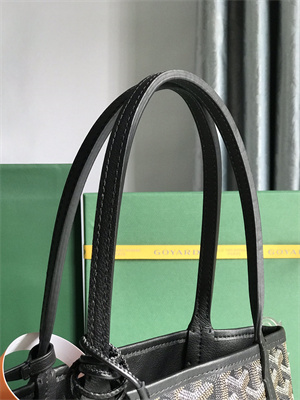 Goyard Anjou Mini Bag Chevroches Calfskin & Goyardine Canvas