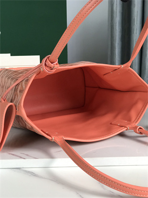 Goyard Anjou Mini Bag Chevroches Calfskin & Goyardine Canvas