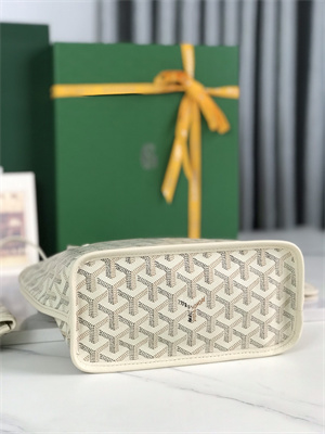 Goyard Anjou Mini Bag Chevroches Calfskin & Goyardine Canvas