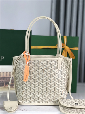 Goyard Anjou Mini Bag Chevroches Calfskin & Goyardine Canvas