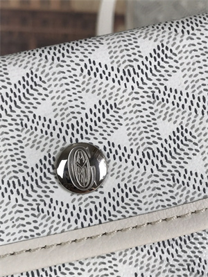 Goyard Anjou Mini Bag Chevroches Calfskin & Goyardine Canvas