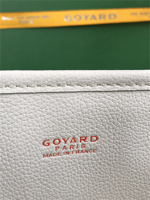 Goyard Anjou Mini Bag Chevroches Calfskin & Goyardine Canvas