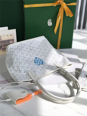 Goyard Anjou Mini Bag Chevroches Calfskin & Goyardine Canvas