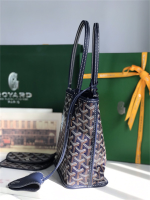 Goyard Anjou Mini Bag Chevroches Calfskin & Goyardine Canvas