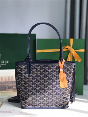 Goyard Anjou Mini Bag Chevroches Calfskin & Goyardine Canvas