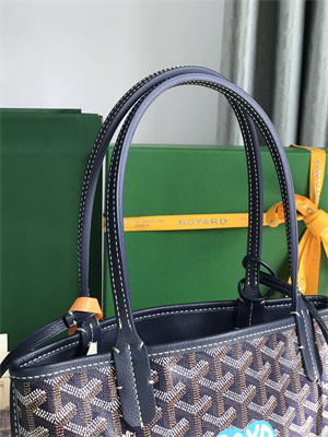 Goyard Anjou Mini Bag Chevroches Calfskin & Goyardine Canvas