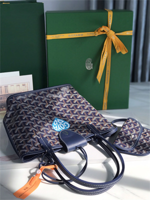 Goyard Anjou Mini Bag Chevroches Calfskin & Goyardine Canvas