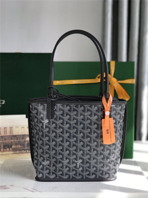 Goyard Anjou Mini Bag Chevroches Calfskin & Goyardine Canvas