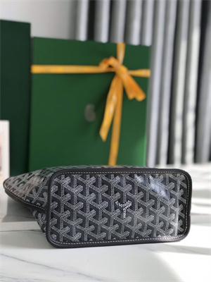 Goyard Anjou Mini Bag Chevroches Calfskin & Goyardine Canvas