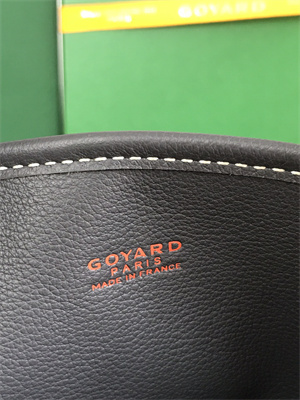 Goyard Anjou Mini Bag Chevroches Calfskin & Goyardine Canvas