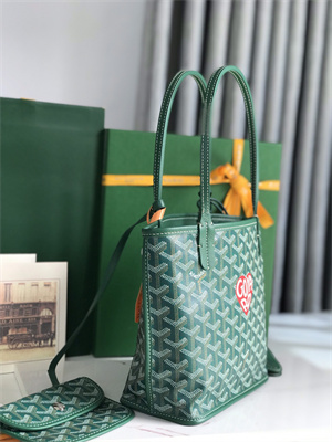 Goyard Anjou Mini Bag Chevroches Calfskin & Goyardine Canvas