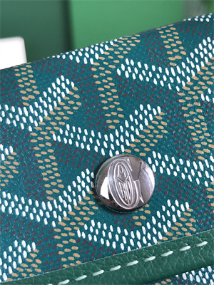 Goyard Anjou Mini Bag Chevroches Calfskin & Goyardine Canvas