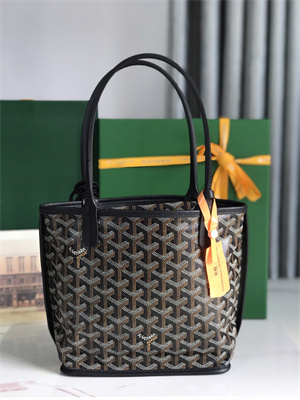 Goyard Anjou Mini Bag Chevroches Calfskin & Goyardine Canvas