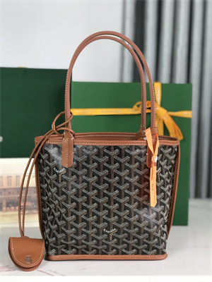 Goyard Anjou Mini Bag Chevroches Calfskin & Goyardine Canvas