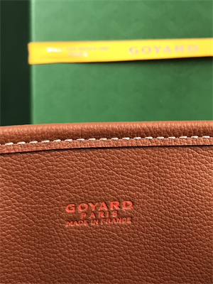 Goyard Anjou Mini Bag Chevroches Calfskin & Goyardine Canvas