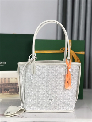 Goyard Anjou Mini Bag Chevroches Calfskin & Goyardine Canvas