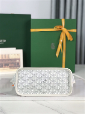 Goyard Anjou Mini Bag Chevroches Calfskin & Goyardine Canvas