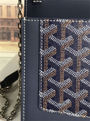 Goyard Duchesse Marie-Caroline Bag Goyardine Canvas & Cervon Calfskin