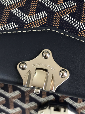 Goyard Duchesse Marie-Caroline Bag Goyardine Canvas & Cervon Calfskin