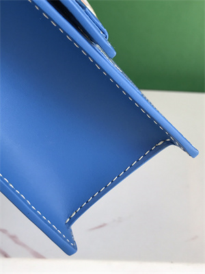 Goyard Duchesse Marie-Caroline Bag Goyardine Canvas & Cervon Calfskin