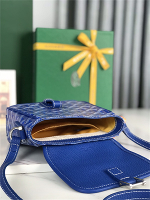 Goyard Grand Bleu PM Shoulder Bag Goyardine Canvas &  Calfskin