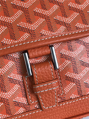 Goyard Grand Bleu PM Shoulder Bag Goyardine Canvas &  Calfskin