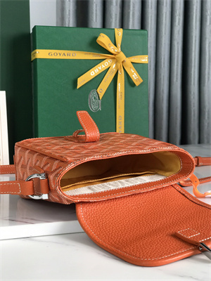 Goyard Grand Bleu PM Shoulder Bag Goyardine Canvas &  Calfskin