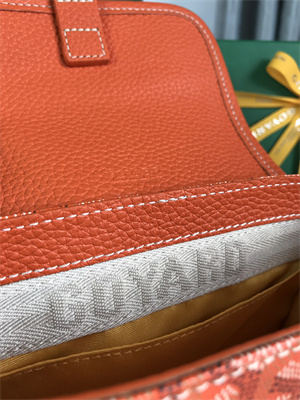 Goyard Grand Bleu PM Shoulder Bag Goyardine Canvas &  Calfskin