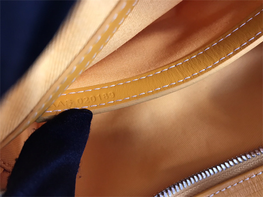 Goyard Cap-Vert PM Bag Goyardine Canvas & Cervon Calfskin