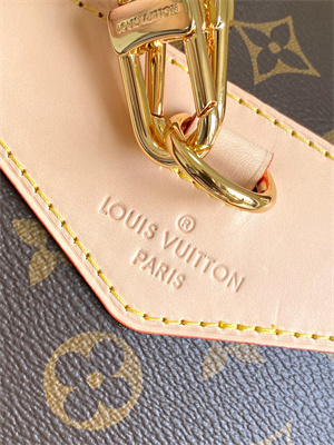 LV Montsouris PM Backpack Monogram Canvas M11198