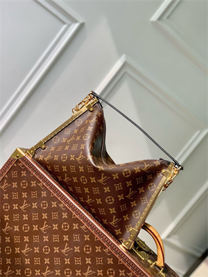 lV Lucky Trunk Monogram Coated canvas M12075