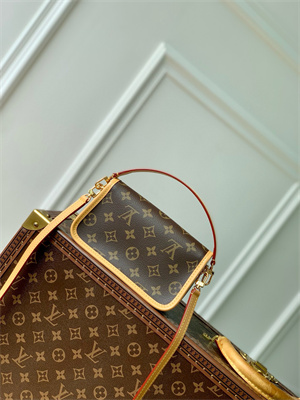 LV Nano Diane Monogram Canvas M83298