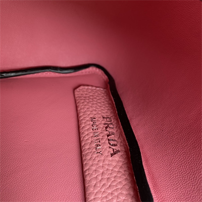 Prada Leather Mini Bag Pink 1BA349