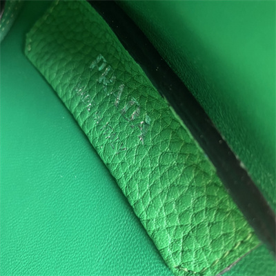 Prada Leather Mini Bag Green1BA349