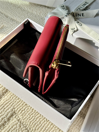 Celine COMPACT WALLET WITH COIN TRIOMPHE in Shiny calfskin