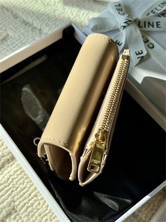 Celine COMPACT WALLET WITH COIN TRIOMPHE in Shiny calfskin