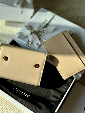 Celine COMPACT WALLET WITH COIN TRIOMPHE in Shiny calfskin
