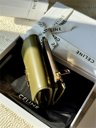 Celine COMPACT WALLET WITH COIN TRIOMPHE in Shiny calfskin