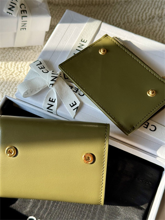 Celine COMPACT WALLET WITH COIN TRIOMPHE in Shiny calfskin