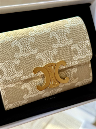 Celine COMPACT WALLET WITH COIN In TRIOMPHE Canvas