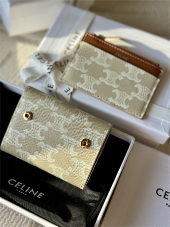 Celine COMPACT WALLET WITH COIN In TRIOMPHE Canvas