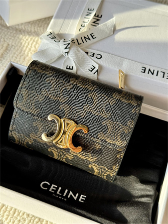 Celine COMPACT WALLET WITH COIN In TRIOMPHE Canvas