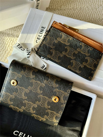 Celine COMPACT WALLET WITH COIN In TRIOMPHE Canvas