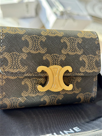 Celine COMPACT WALLET WITH COIN In TRIOMPHE Canvas