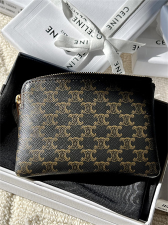 Celine Coin Purse With Printing In TRIOMPHE Canvas