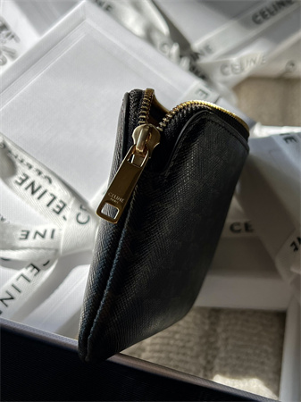 Celine Coin Purse With Printing In TRIOMPHE Canvas