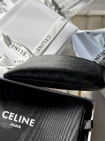 Celine Coin Purse With Printing In TRIOMPHE Canvas
