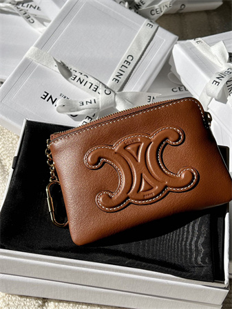 Celine Triomphe Coin Purse Smooth Calfskin Brown